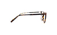 Ricardi 266 C2