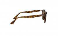Ray-Ban 4258 710/73 50