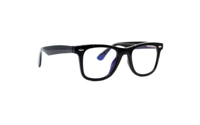 EyeNeye 2102 