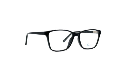 Genex 1308 C004