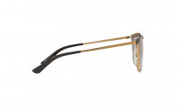 Vogue 4002S 513411