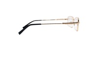 Корригирующие очки Glodiatr 1764 C1