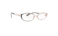 Корригирующие очки Ralph 6026 С2