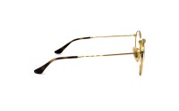 Ray-Ban 3447V C2500