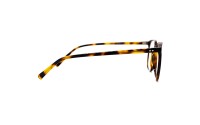 Lumar Ardo BOA1151 C7