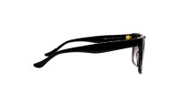 Donna Karan DO508S C3
