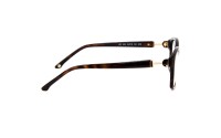 Lucia Valdi 255 30B
