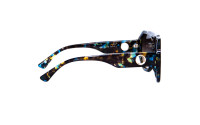 Aras 8131 C6