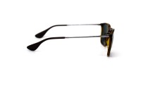 Ray-Ban 4171 C865/13 3N 54