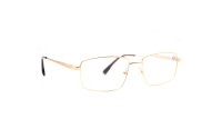 Корригирующие очки Ralph 6036 C2