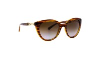 Солнцезащитные очки Vogue 5634 C1508T5
